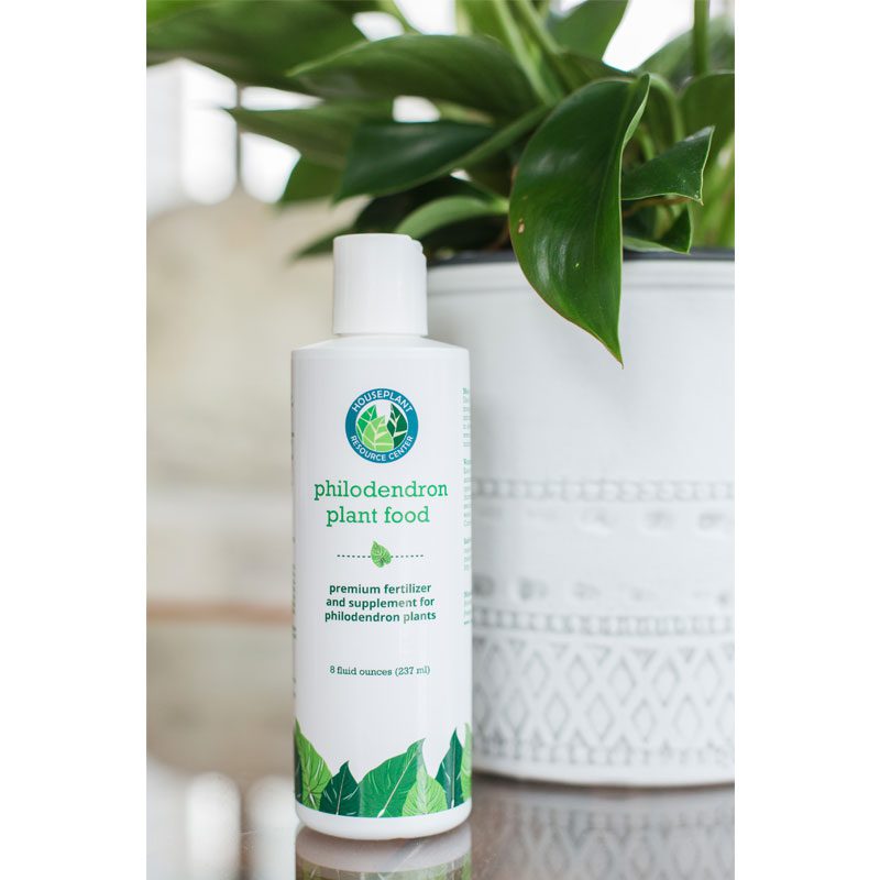 Philodendron Fertilizer 3 Philodendron Plant Food