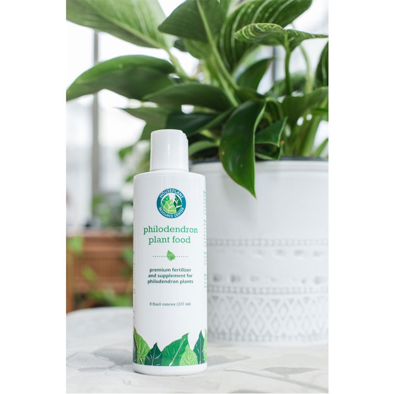 Philodendron Fertilizer 4 Philodendron Plant Food