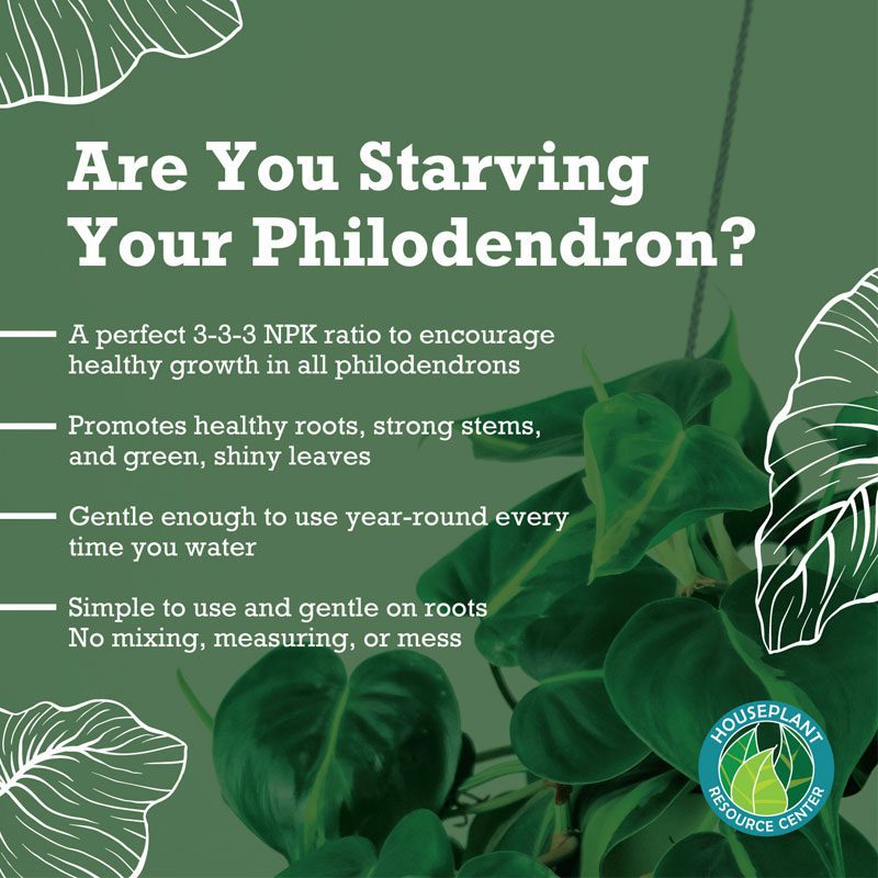 Philodendron Plant Food