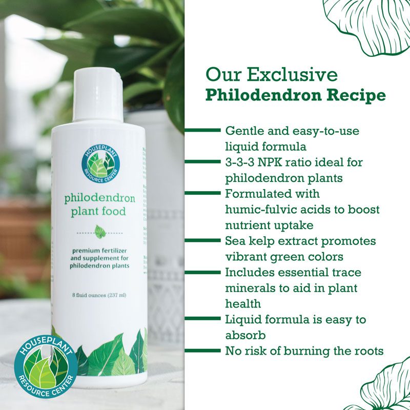Philodendron Fertilizer 6 Philodendron Plant Food