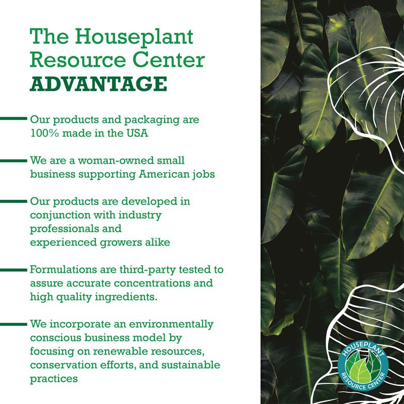 Philodendron Fertilizer 9 Philodendron Plant Food