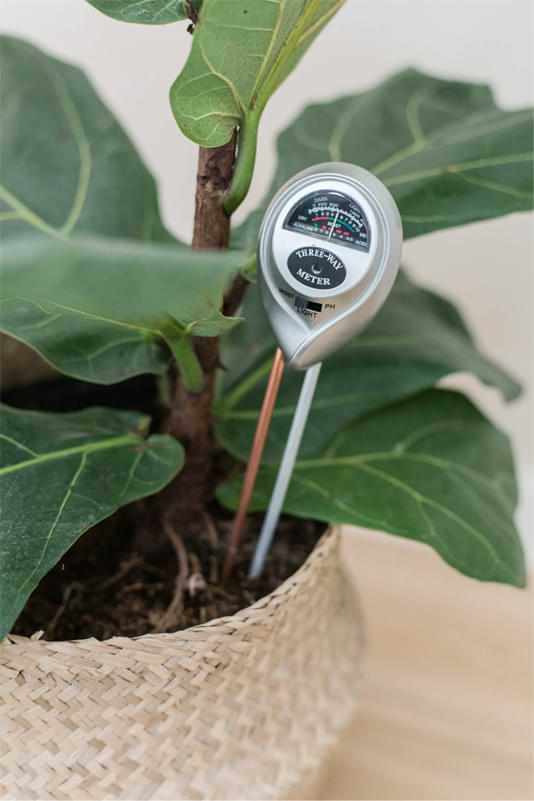 Houseplant-Moisture-meter