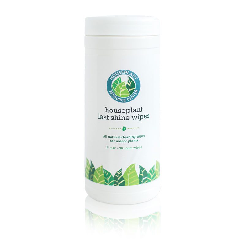 Houseplant Leaf Shine Wipes 1 Leaf Shine Wipes