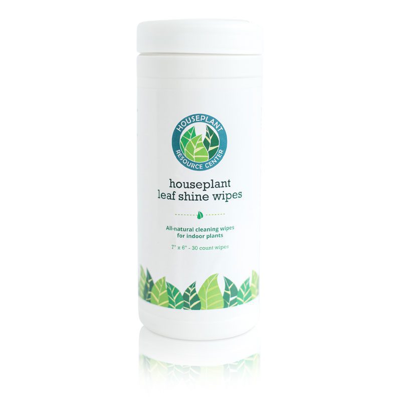 Houseplant Leaf Shine Wipes 2 Leaf Shine Wipes