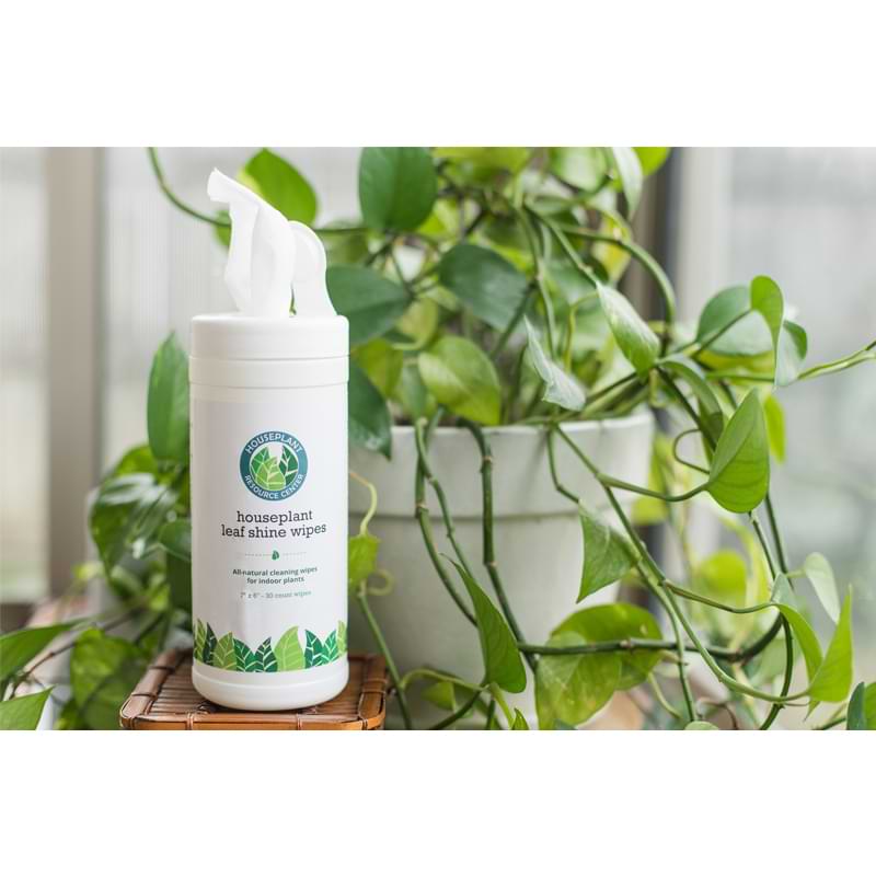 Houseplant Leaf Shine Wipes 3 Leaf Shine Wipes