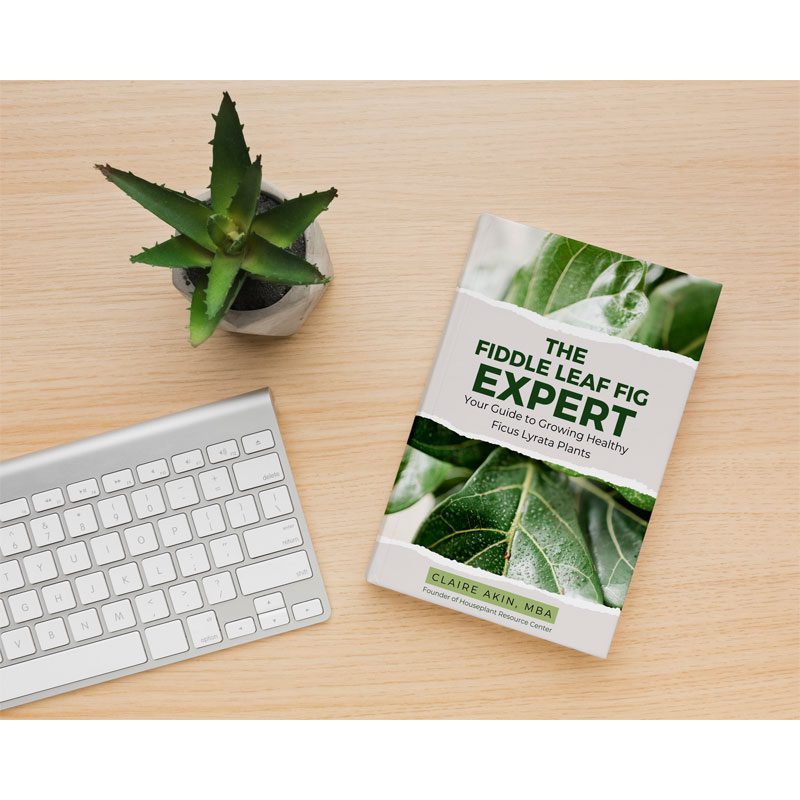 The Fiddle Leaf Fig Expert Book 2 2
