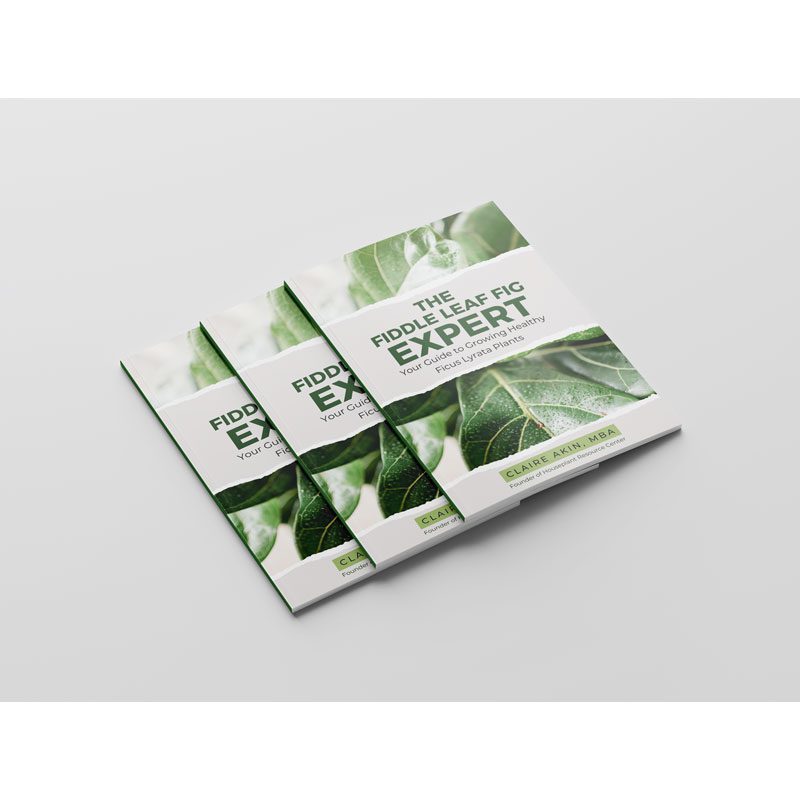 The Fiddle Leaf Fig Expert Book 4 6