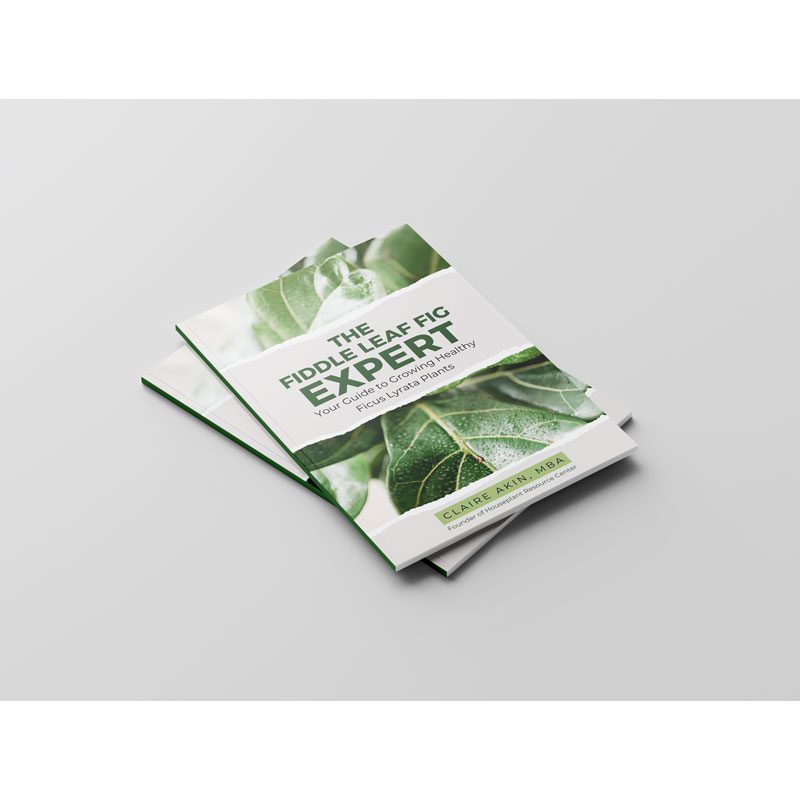 The Fiddle Leaf Fig Expert Book 3 7