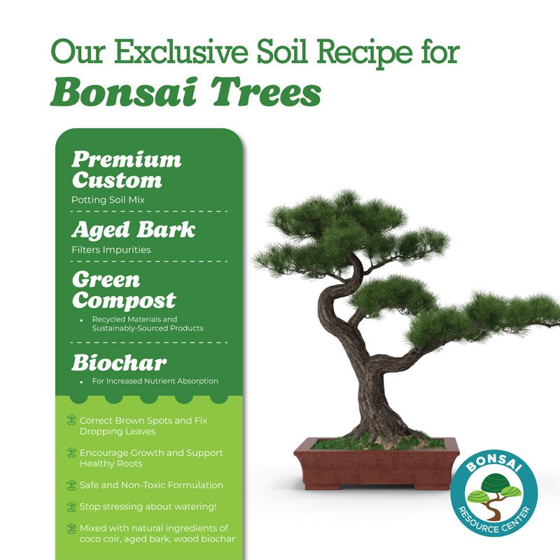 Bonsai Soil 6 Bonsai Soil