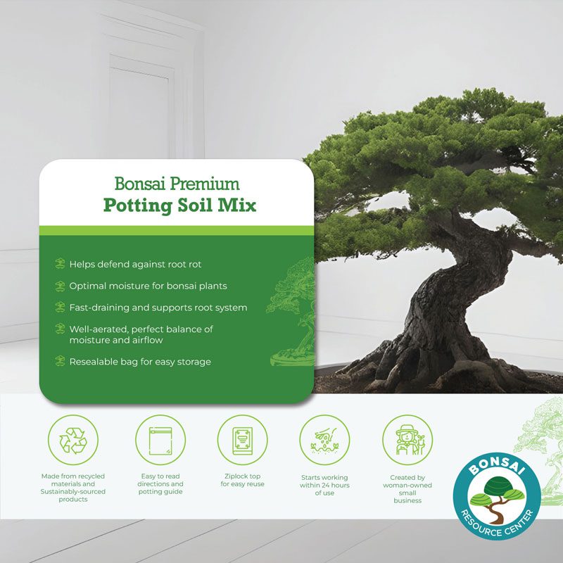 Bonsai Soil 8 Bonsai Soil