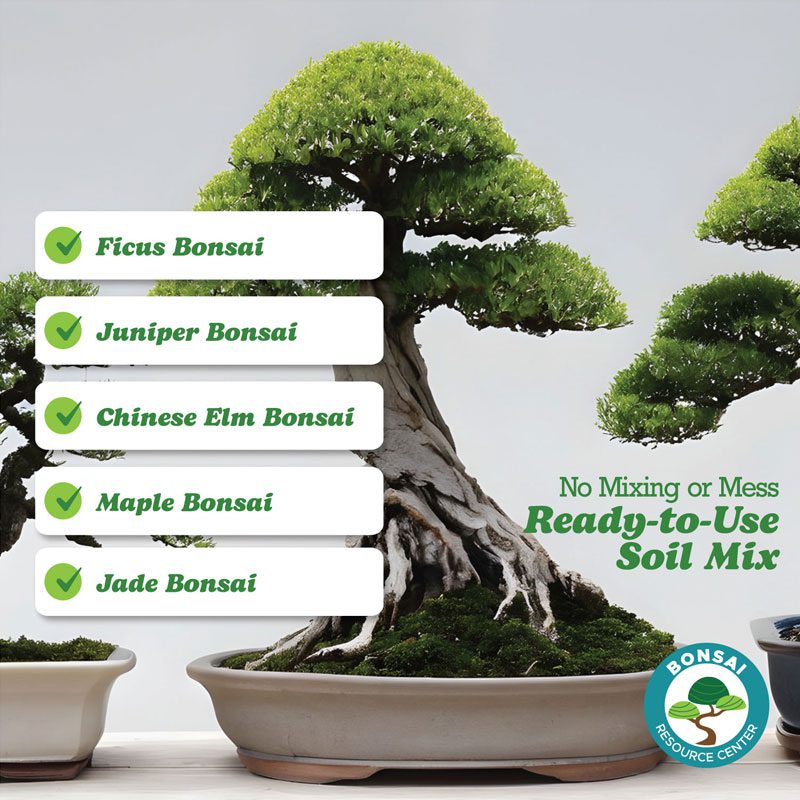 Bonsai Soil 9 Bonsai Soil