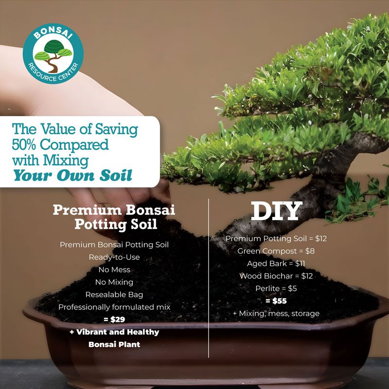 Bonsai Soil 10 Bonsai Soil