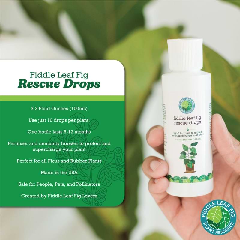 Fiddle Leaf Fig Rescue Drops 8 FLF Rescue Drop Product