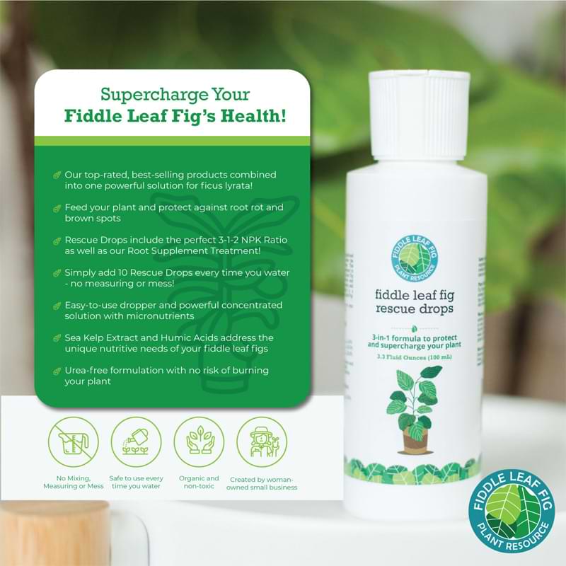 Fiddle Leaf Fig Rescue Drops 9 FLF Rescue Drop Product