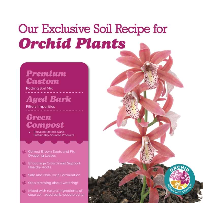 Premium Orchid Soil 4 Orchid Soil Grahpic Image
