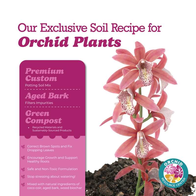 Orchid Soil Grahpic Image