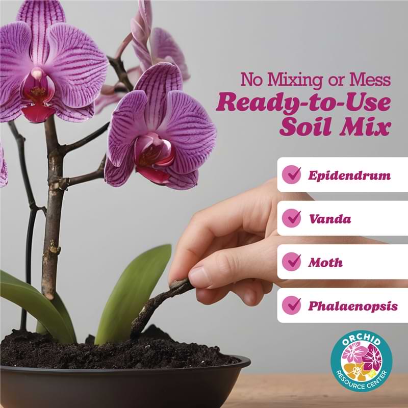 Orchid Soil Grahpic Image
