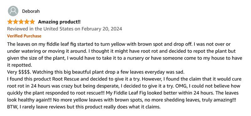 Fiddle Leaf Fig Rescue Drops 10 Deborah Review