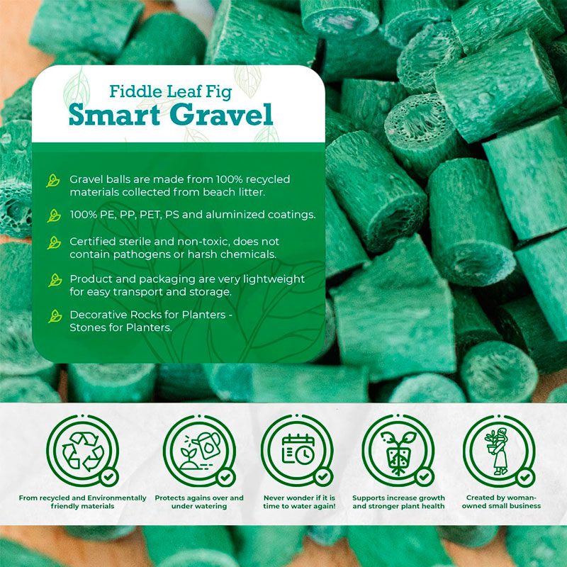 Houseplant Smart Gravel 3 Smart Gravel