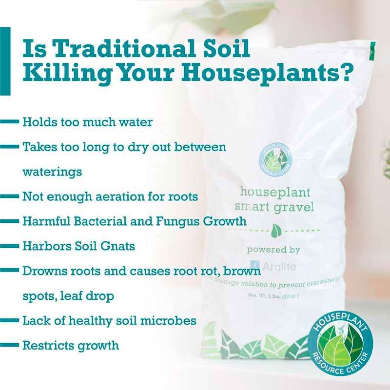 Houseplant Smart Gravel 6 Smart Gravel