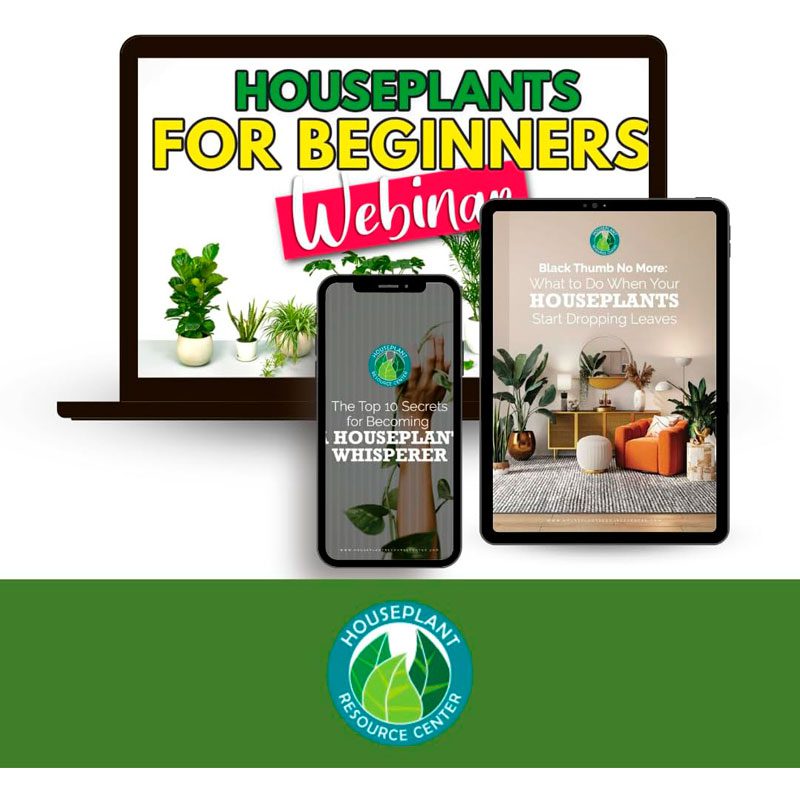 Houseplant Smart Gravel 8 Smart Gravel